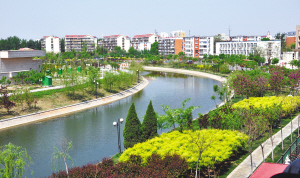 天津：市容整治绿化项目近尾声 道路披新绿处处成靓景