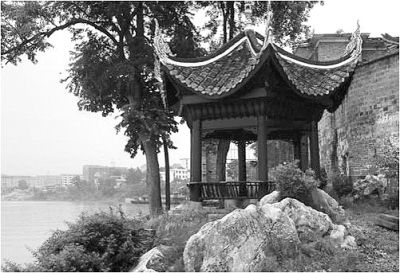 夏广政：