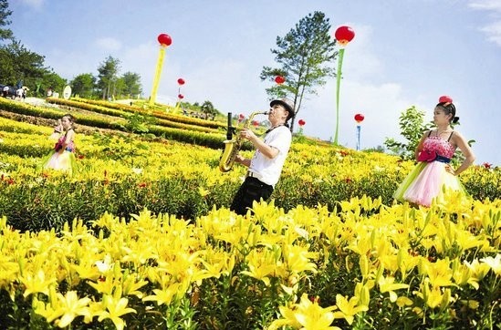 湖北宜昌：三峡首届百合花旅游文化节开幕