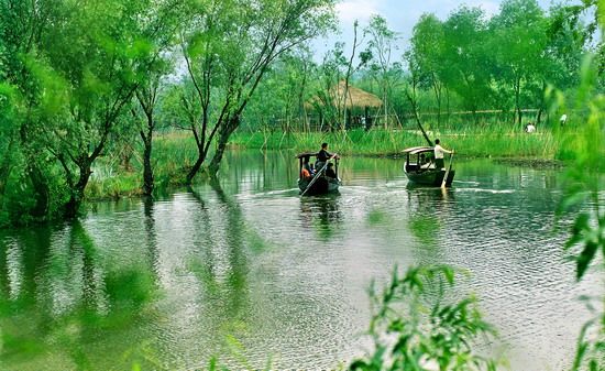 炎炎夏日 与湿地来个清凉之吻