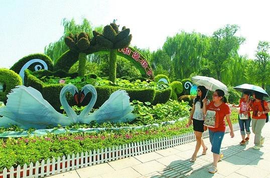 荷韵花卉造型助力山东省济南市泉水节（图）