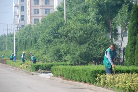 山东：荣成石岛园林管理处雨后除草忙 确保城区绿化效果