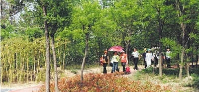 绿地游园建设给市民提供了更多游玩休憩的好去处。本报记者 许大桥 摄