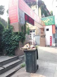 青岛市区四万余垃圾桶统一“加盖”（图）