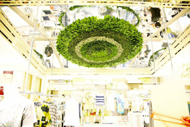 【案例欣赏】伊势丹百货的“植物艺术”