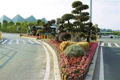 美丽龙岗