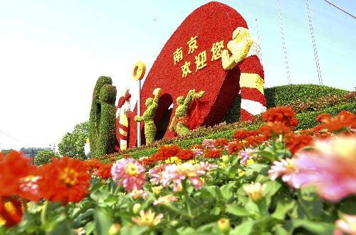 江苏省南京亚青会靓景迎客 绿植雕塑“现身”