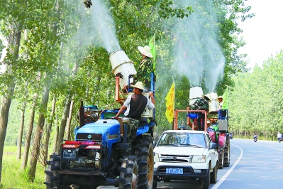 高温导致南京林木虫害肆虐 每天喷药消杀 