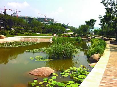 青岛：10段湿地景观扮靓生态新城