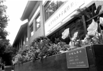 北京市东城区胡同花箱绿植 寻到“护花使者”