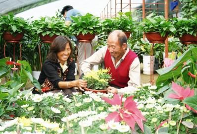 山西：原平市民挑选鲜花迎接“两节”到来