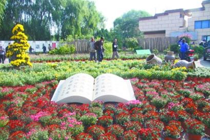 辽宁：葫芦岛市龙湾公园举办第三届菊花展