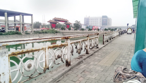 河道旁护栏锈蚀缺失严重
