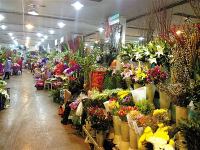 亮马花卉市场一层，许多商户正在等待顾客光临。