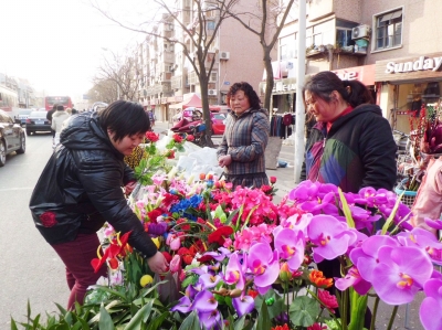 江苏：扬州春节临近 各式花卉上市（图）