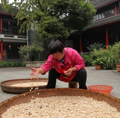 扬州：旌忠寺庭院百年银杏树结出百斤白果