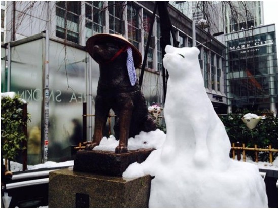 忠犬八公雕像旁雪狗版的忠犬八公