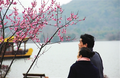 市民在湘湖边赏梅.