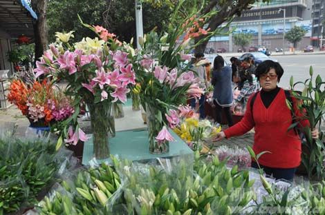 广西：“双节”前龙城鲜花市场遇“寒流”