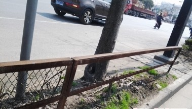 绿化带铁栅栏破损严重