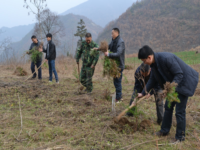 湖北:郧县叶大乡干部群众自带挖锄义务植树