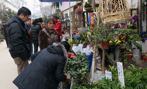 市民选购鲜花盆栽