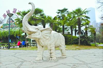 中山公园小白象雕塑