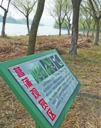 花卉科普指示牌