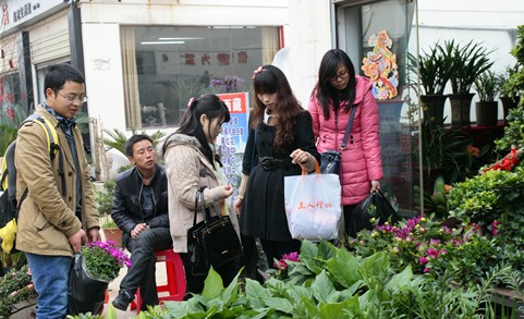 市民选购鲜花盆栽