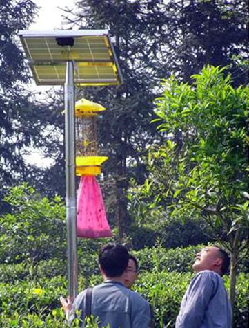 太阳能杀虫灯有效防治害虫