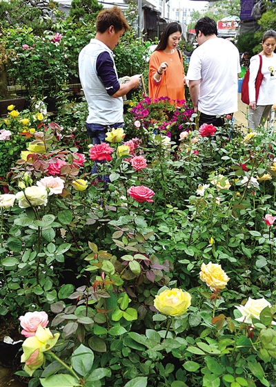 购买鲜花的市民络绎不绝