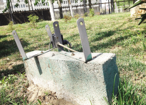 城厢中路街边花园里的百余个地射灯惨遭黑手