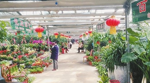 花卉市场内顾客寥寥无几