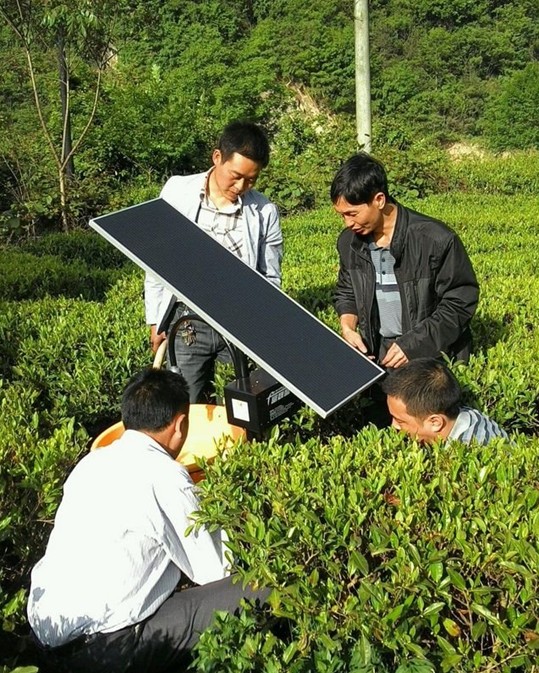 茶叶中心技术人员在梅园沟茶园安装太阳能杀虫灯