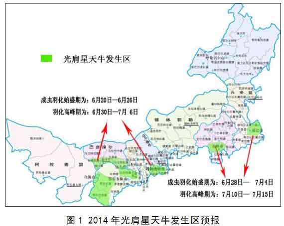 内蒙古2014年光肩星天牛发生趋势预报