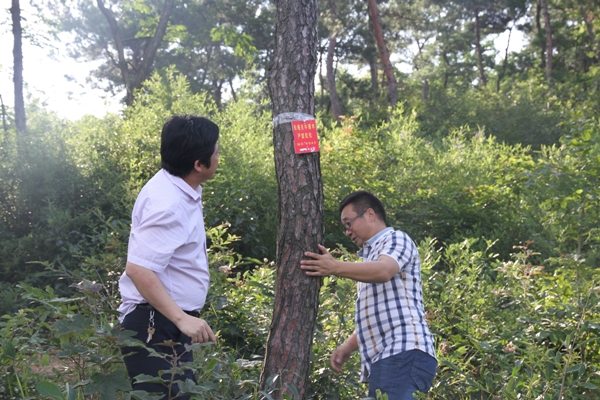 莲花县警民合力防治食叶害虫