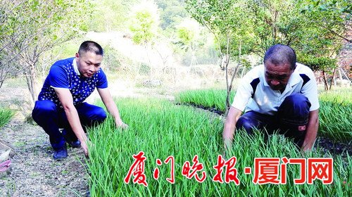 一开始激烈反对,但如今父亲(右)成了叶今铃(左)的“管家”。