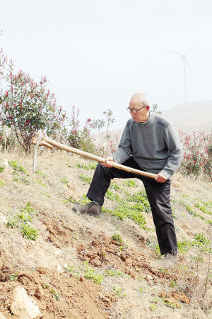 范书勤:老教师花积蓄卖房子 绿化荒山千余亩