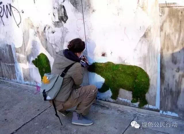 苔藓培植