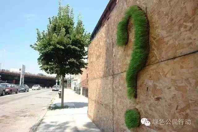 苔藓培植