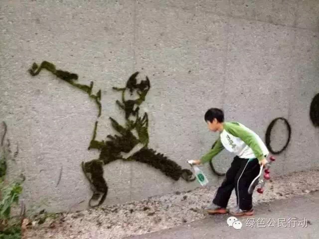 苔藓培植
