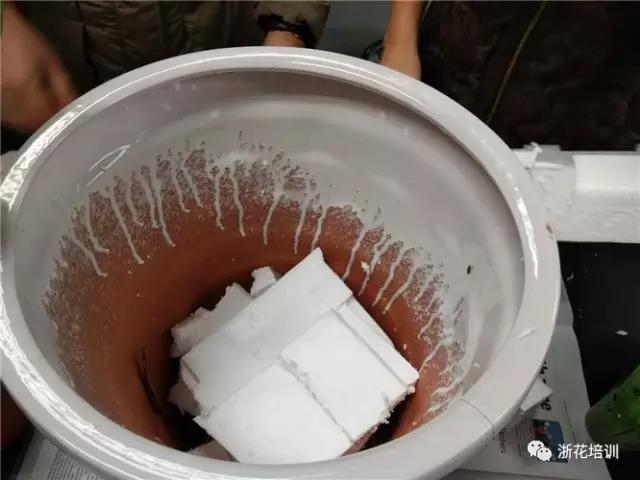 2.jpg 年宵花制作组盆活动