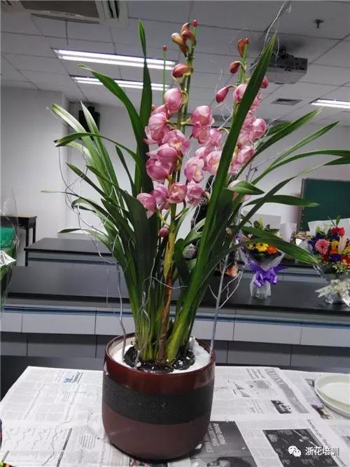9.jpg 年宵花制作组盆活动