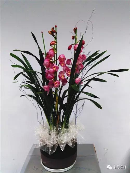 12.jpg 年宵花制作组盆活动