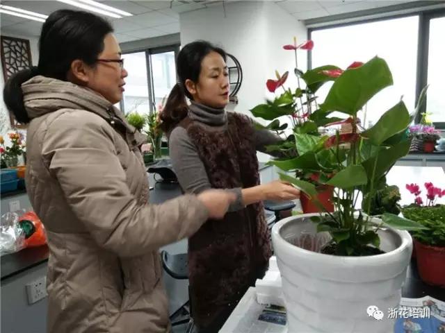 3.jpg 年宵花制作组盆活动