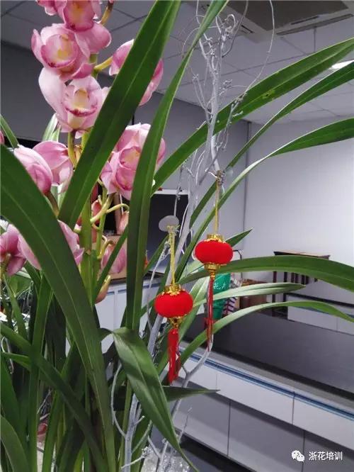 11.jpg 年宵花制作组盆活动