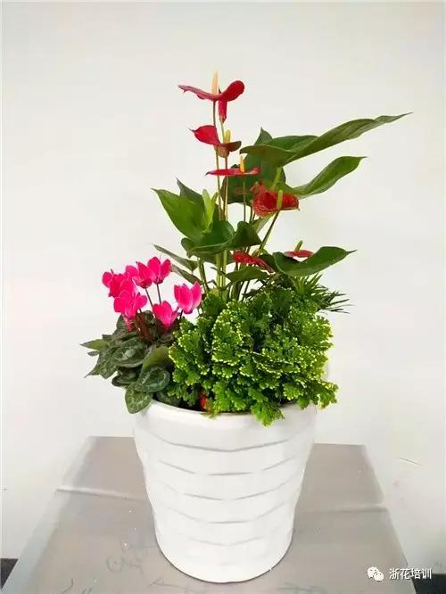 6.jpg 年宵花制作组盆活动