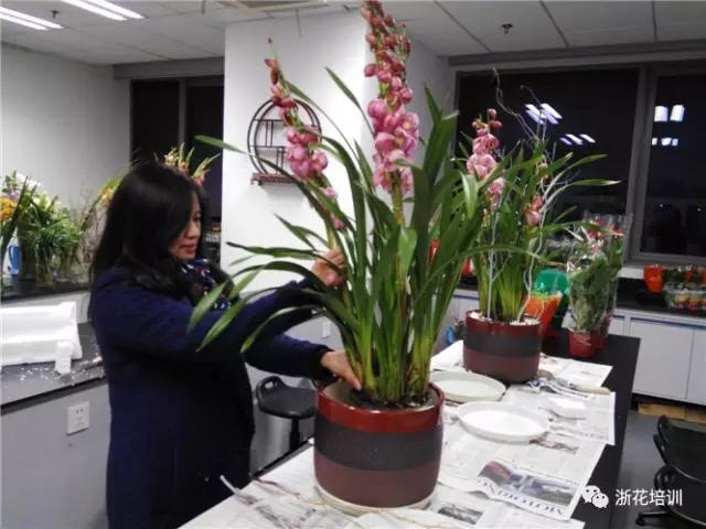 7.jpg 年宵花制作组盆活动
