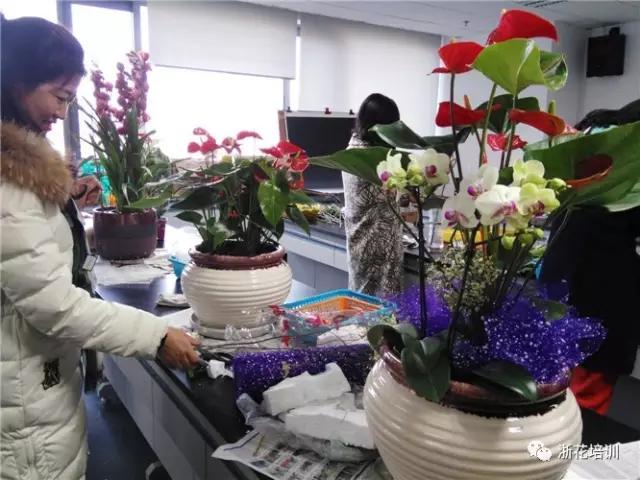 13.jpg 年宵花制作组盆活动