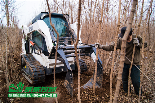 适合一些小型苗木公司每天的起苗工作;工程级挖树机适合大企业和大